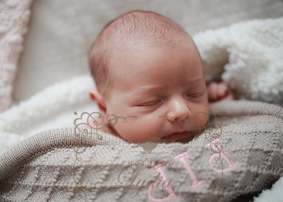 Phoebe (3)
