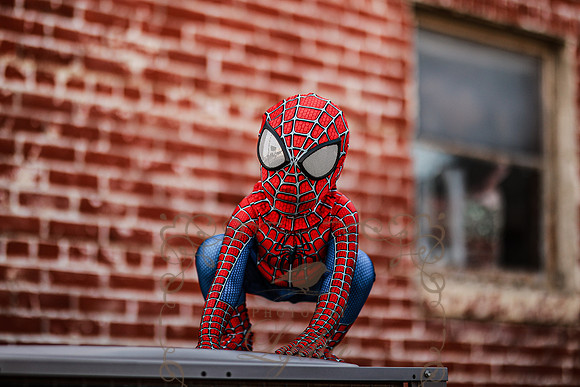 Spiderman-48