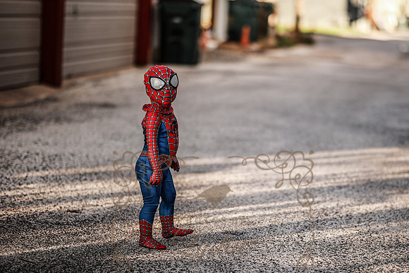 Spiderman-42