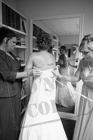 IMG_3381bw