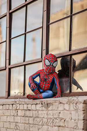 Spiderman-28