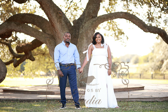 B91A2831