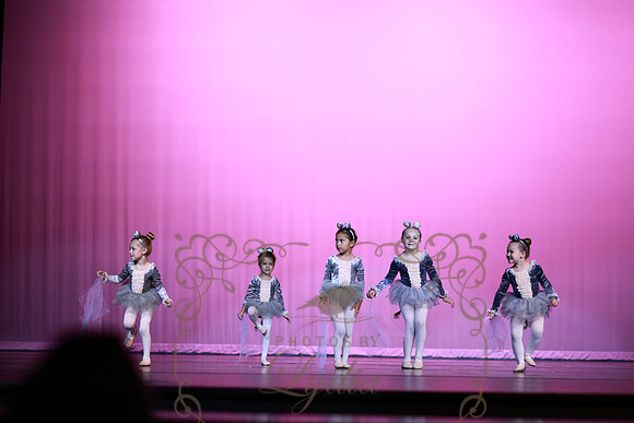 Cinderella (19)