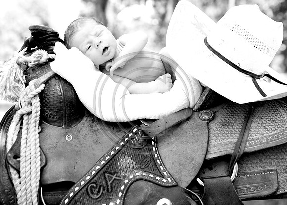 IMG_0254bw