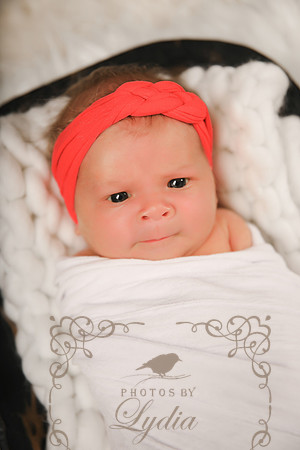 Sophia-9