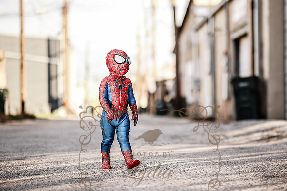 Spiderman-31