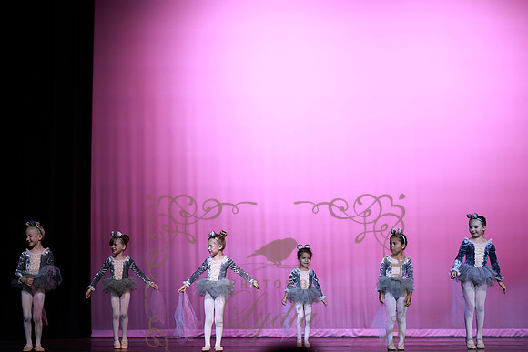 Cinderella (16)
