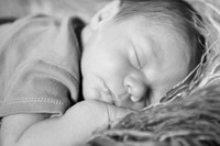 IMG_0152bw