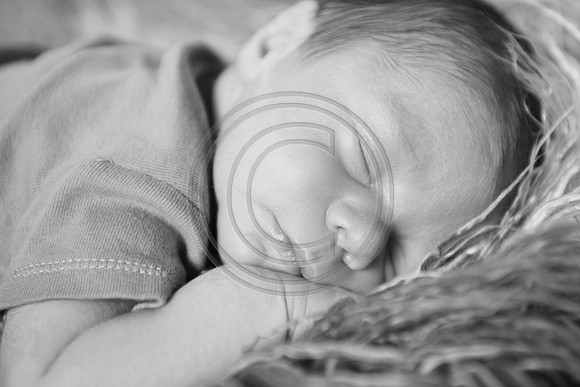 IMG_0152bw