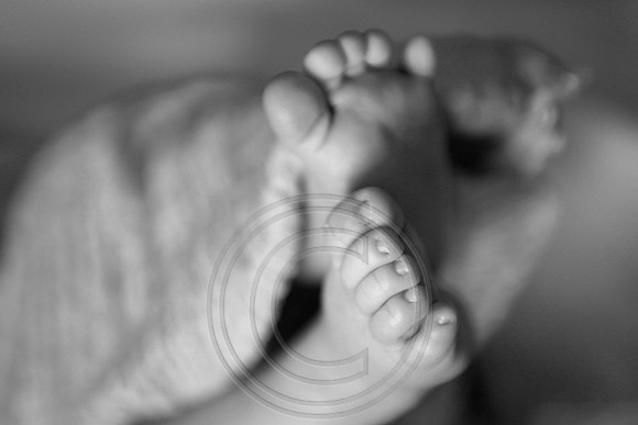 IMG_1078bw