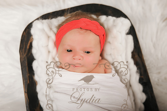 Sophia-12