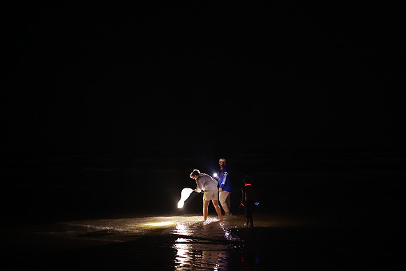 Beach-4227